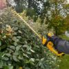 img-produit-DeWalt-DCM563PB-XJ-3 DeWalt Taille-haie 18V DCM563PB-XJ