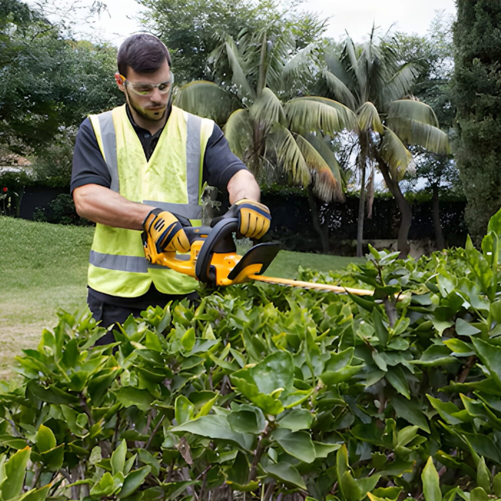 img-produit-DeWalt-DCM563PB-XJ-5 DeWalt Taille-haie 18V DCM563PB-XJ